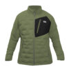 Verde Musgo