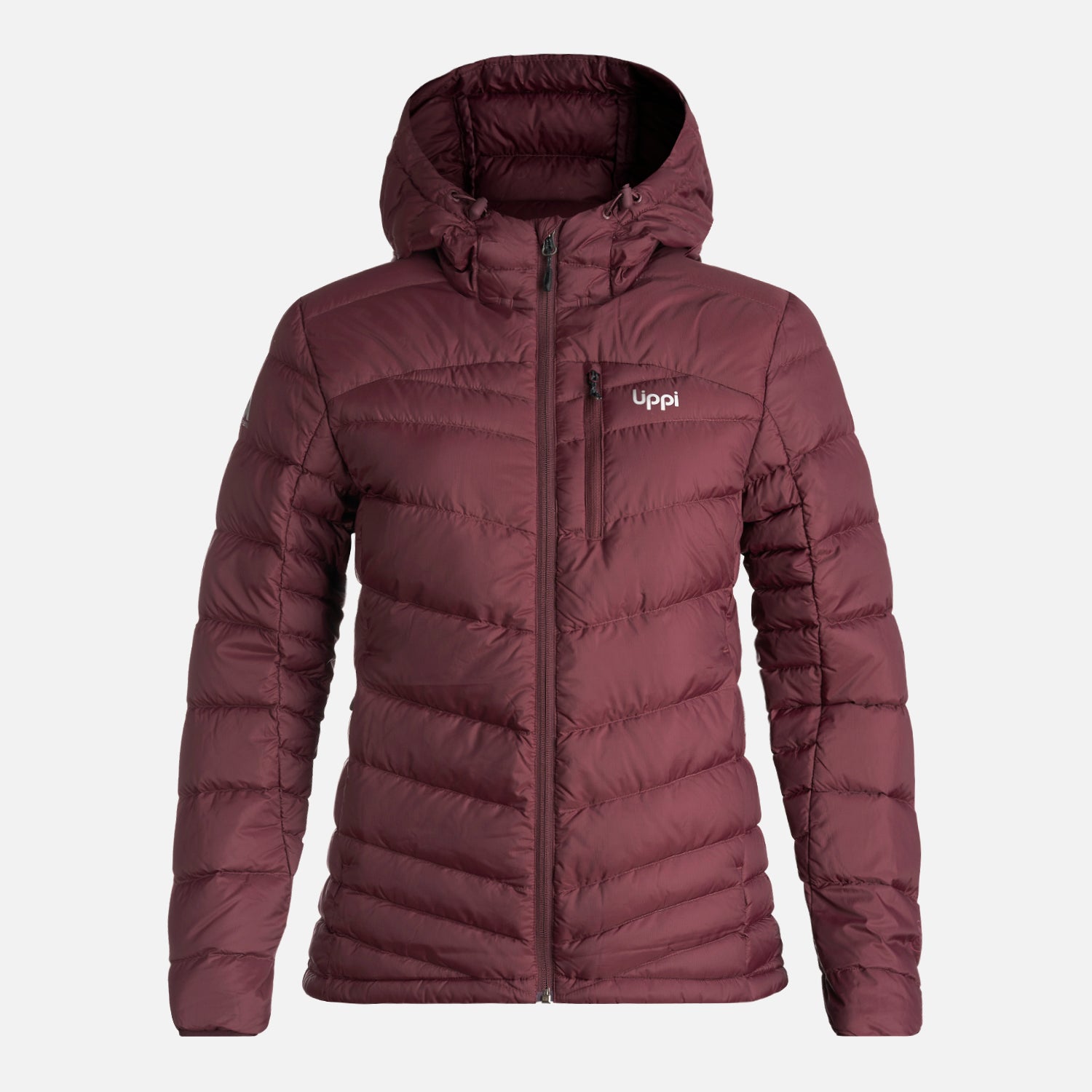 Chaqueta Bazpur Down Hoody Jacket - Imagen 2