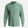 Verde Musgo